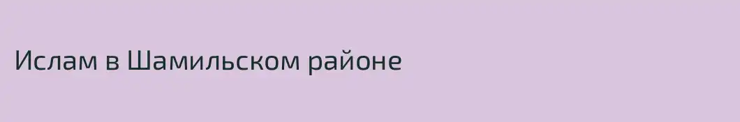 Ислам в Шамильском районе